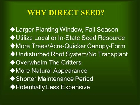 Direct Seeding Establishing A Forest With Seed Benefits Of Direct