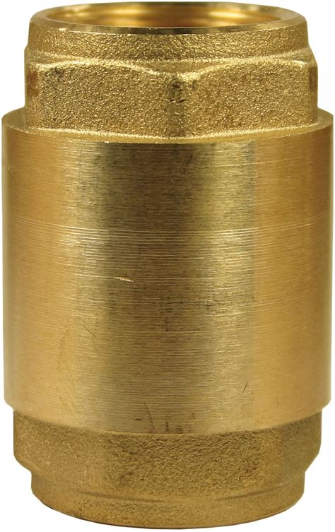 Flowjet 12 Brass Non Return Valve