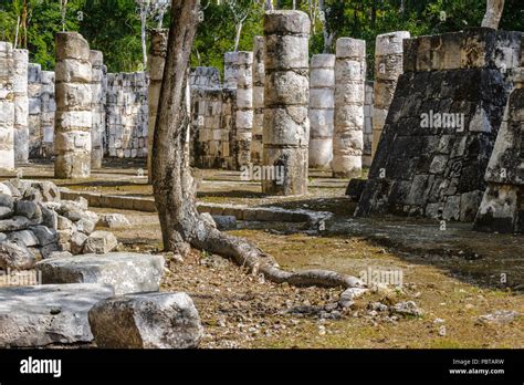 Columns In The Temple Of A Thousand Warriors Of Chichen Itza A Large