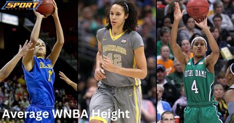 Average Wnba Height By Team And Position 2024