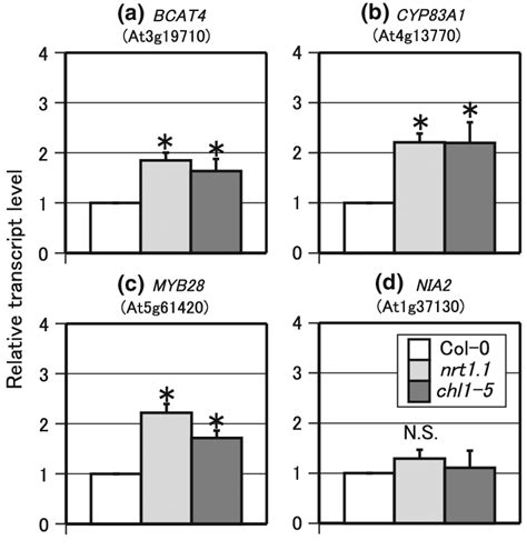 Transcript Levels Of Glucosinolate Biosynthetic Genes In Col