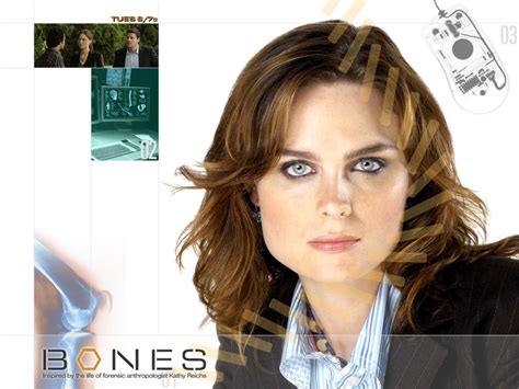 Character profile of Bones - Bones - Fanpop