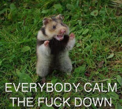 Seriously Everybody Just Needs To Calm The Fuck Down