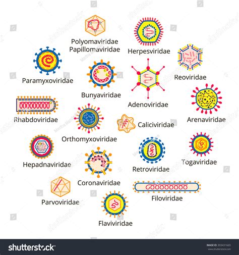 494 Virus Classification Images, Stock Photos & Vectors | Shutterstock