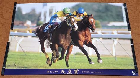 Yahooオークション 第116回 天皇賞 エアグルーヴ ポスター B2 競馬