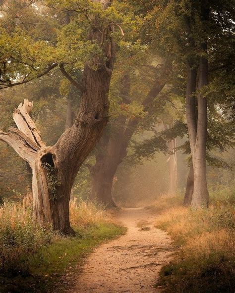 Pin tillagd av Frauke på Landscape Nature Weather Light i 2024 Landskap