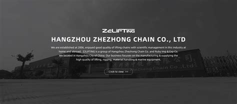 Company Overview Hangzhou Zhezhong Chain Co Ltd