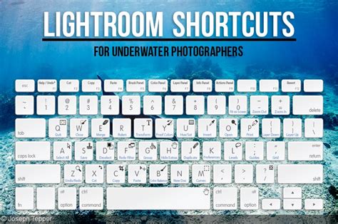 Quick Tip Lightroom Shortcuts For Underwater Photographers