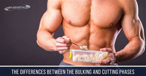 The Differences Between The Bulking And Cutting Phases