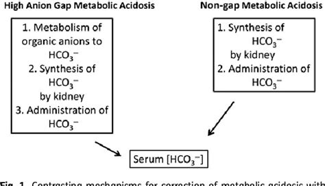 Odchýlit se krab Číst non anion gap metabolic acidosis causes zahrnout ...