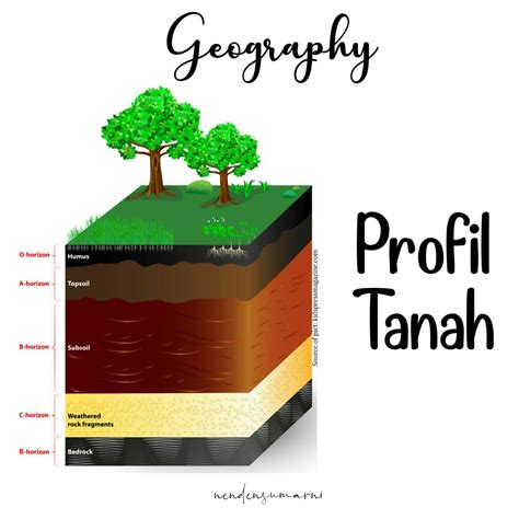 Detail Gambar Kandungan Lapisan Tanah Permukaan Bulan Koleksi Nomer 3