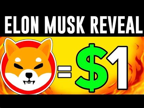 Elon Musk Tesla To Accept Shiba Inu Coin As Payment Method Soon This