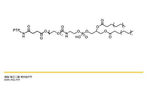 Dspe Peg Ptp，磷脂 聚乙二醇 靶向肽ptp，靶向功能材料供应 Chemicalbook