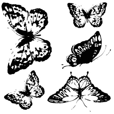 Black Silhouette Butterflies Isolated White Background — Stock Vector