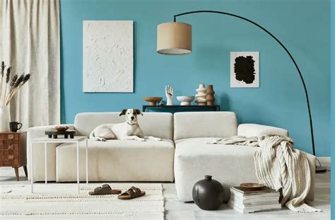 Benjamin Moore Turquoise Powder Real Pictures