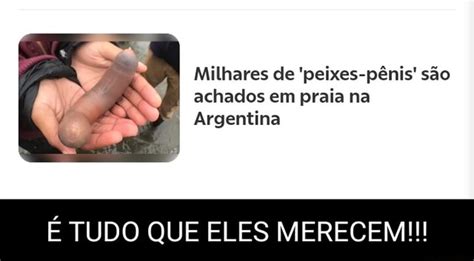 Milhares de peixes pênis são achados em praia na Argentina É TUDO QUE