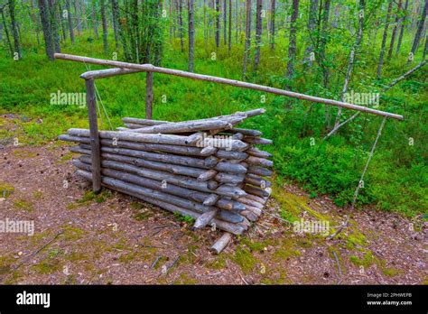 Hunting Traps At Kierikki Stone Age Centre In Finland Stock Photo Alamy