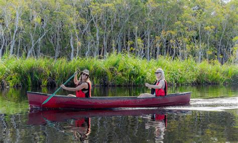 Noosa Everglades Explorer Cruise Book Now Experience Oz