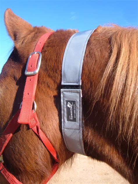 Reflective Equine Collar - EquestriSafe, LLc