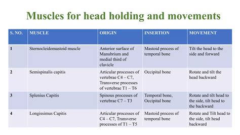 Muscles For Head Holding And Movements Pptx