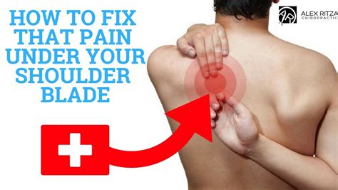 Shoulder Blade Pain: Symptoms, Causes, And Treatment, 53% OFF