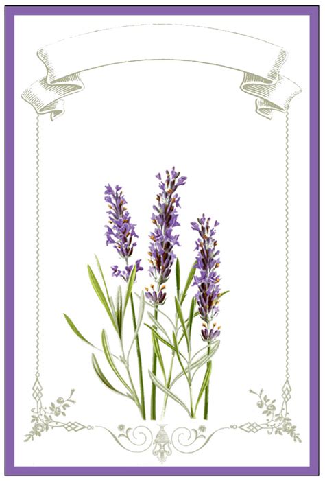 Free Printable Lavender Labels And Stickers The Graphics Fairy