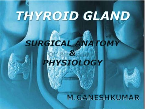 Thyroid Surgical Anatomy