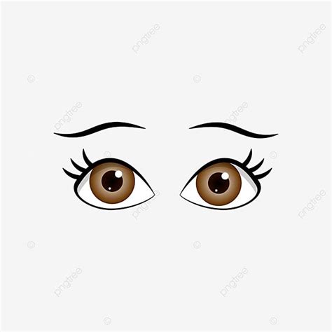 Olhos Castanhos Femininos Sobrancelhas Vetor Material Olhos Clipart