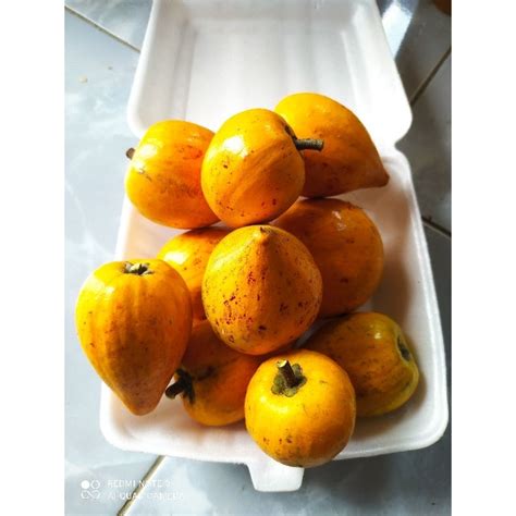 Jual Ready Buah Sawo Alkesah Per Kg Shopee Indonesia