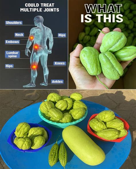 Ditch the Pills: Unlock Chayote’s Secret to Pain-Free, Vibrant Health