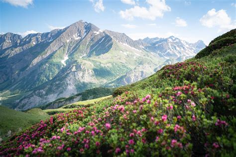 Top Tips For Successfully Hiking The Tour Du Mont Blanc Jess Wandering