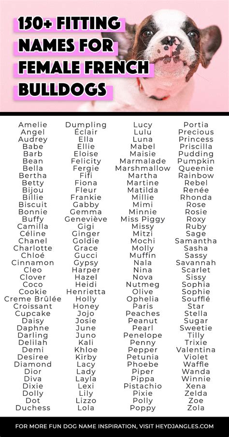 150+ Fitting Names for Female French Bulldogs - Hey, Djangles. | French bulldog names, French ...