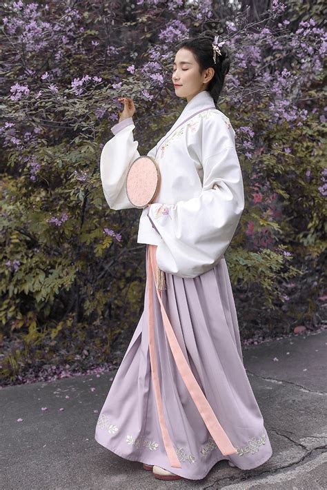 ziseviolet Traditional Chinese Hanfu Type Aoqun 袄裙