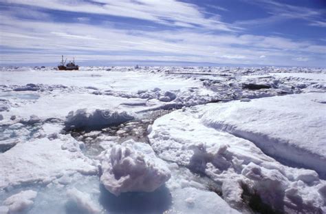 Ice floe greenland stock photo. Image of blue, ammassalik - 21958562