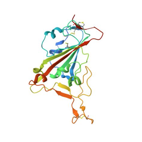 RCSB PDB 8SPI Crystal Structure Of Chimeric Omicron RBD Strain XBB