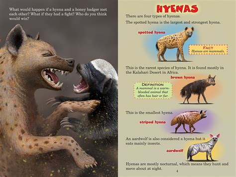 Hyena Vs Wolf Who Would Win