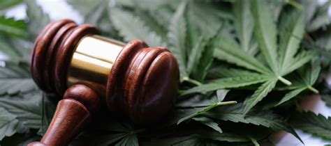 Cannabisgesetz und Arbeitsschutz Prävention gefragt Arbeit Gesundheit