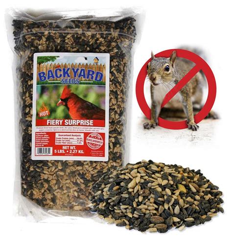 10 Best Spicy Bird Seed For Attracting Wild Birds To Your Garden