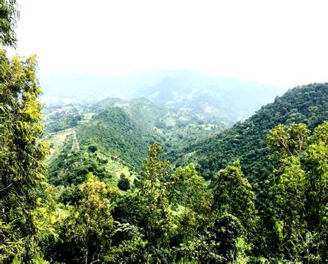 Araku Valley Visakhapatnam Araku Valley Hill Station Waterfalls