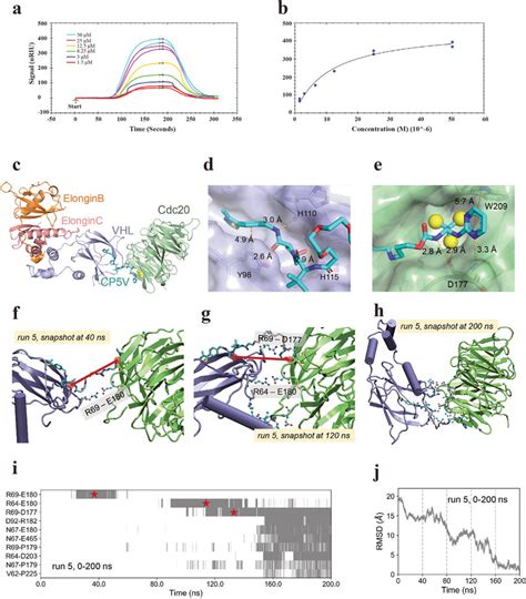 Cp5v Efficiently Binds Onto Cdc20 To Help Stabilize Download