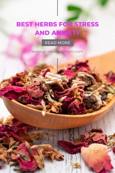 Best Herbs For Stress And Anxiety Giveaways Mom