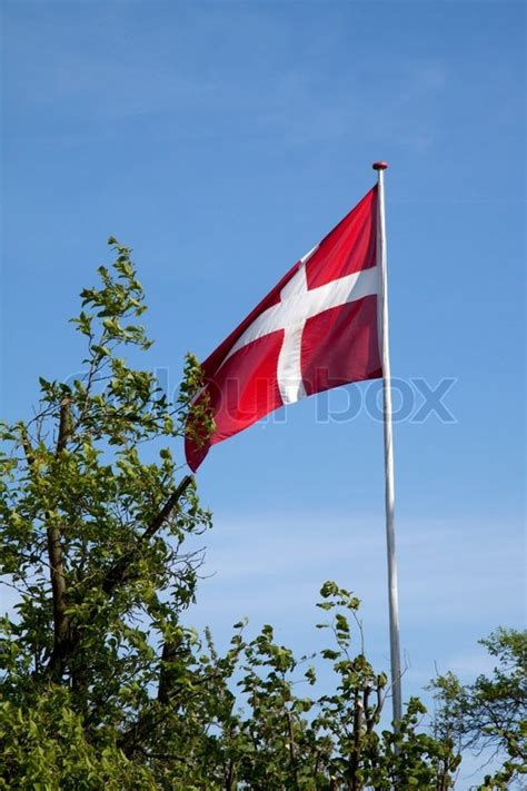 Dansk Dannebrog Dansk Flag Vajer Mod Stock Foto Colourbox