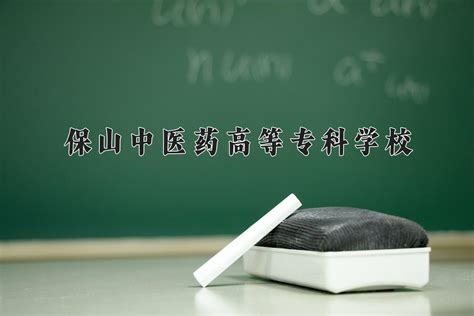 2024年保山中医药高等专科学校在重庆计划招生人数（附学费及专业录取分