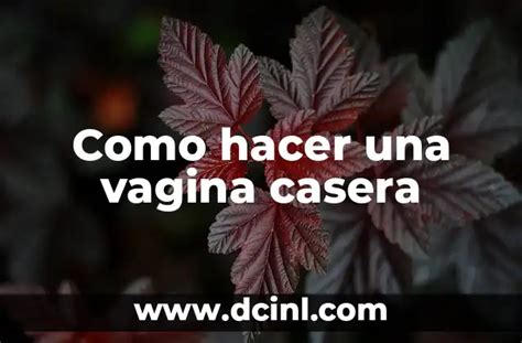 Profundidad De La Vagina Todo Lo Que Necesitas Saber