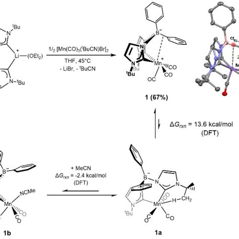 Scheme 1 Left Synthesis Of 1 Right Molecular Structure Of 1 With Download Scientific