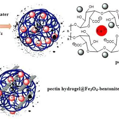 The Scheme Of Pectin Hydrogel Fe3O4 Bentonite Magnetic Nanocomposite