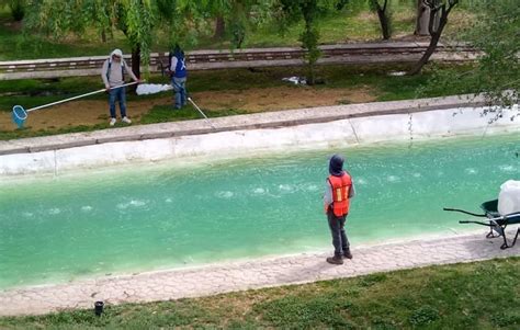 Dañan lago del Bosque Urbano Noticieros GREM