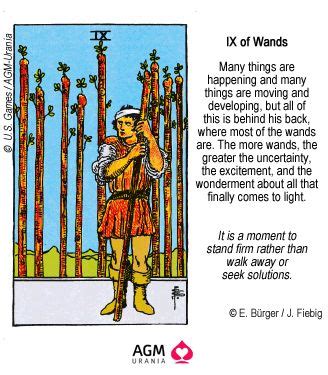 IX Of Wands Tarot Interpretation Wands Tarot Biddy Tarot