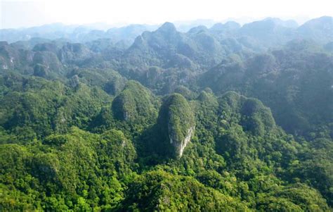 Phong Nha Ke Bang National Park Top Tourist Attractions In Quang