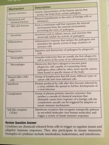 Bio Exam Flashcards Quizlet